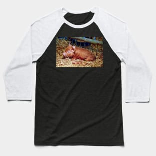 Sleepy Brown-Spotted Piglet Baseball T-Shirt